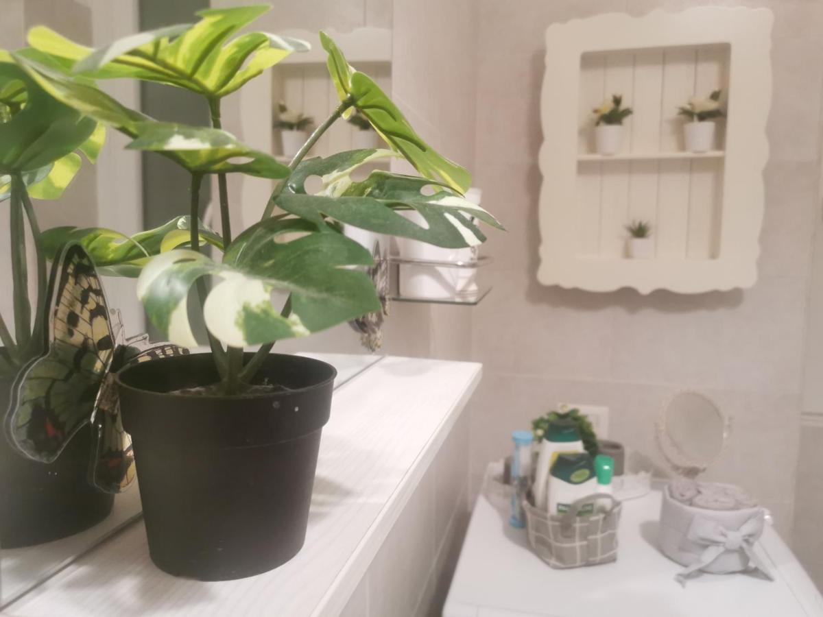 Appartement Domus Flavi à Rome Extérieur photo